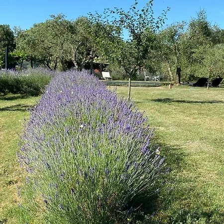Dimora Di Campagna La Cervaiola Porano