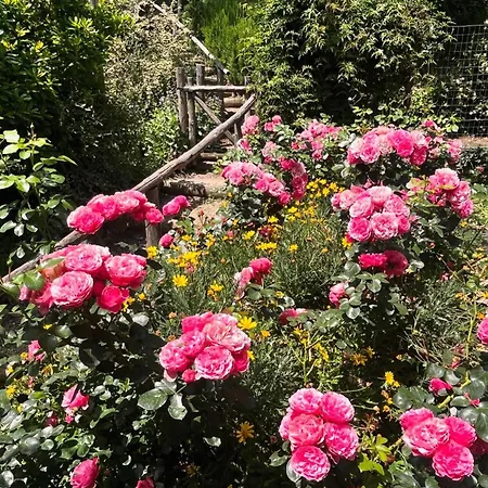 La Cervaiola Piccola Dimora Di Campagna Bed and breakfast Porano