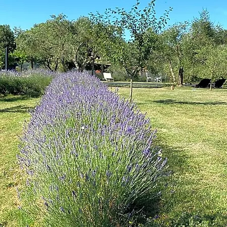 Bed and Breakfast Dimora Di Campagna La Cervaiola 3*