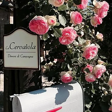 Dimora Di Campagna La Cervaiola Bed and Breakfast Porano