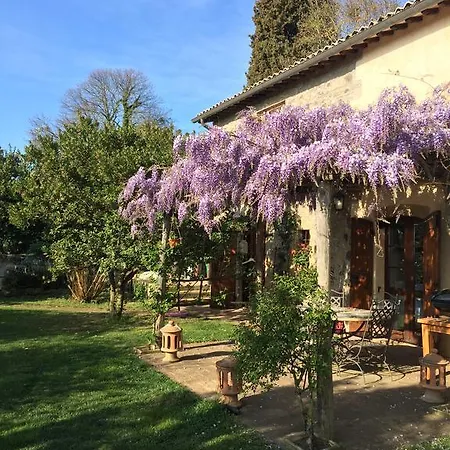 Agriturismo La Cervaiola Piccola Dimora Di Campagna Bed & Breakfast