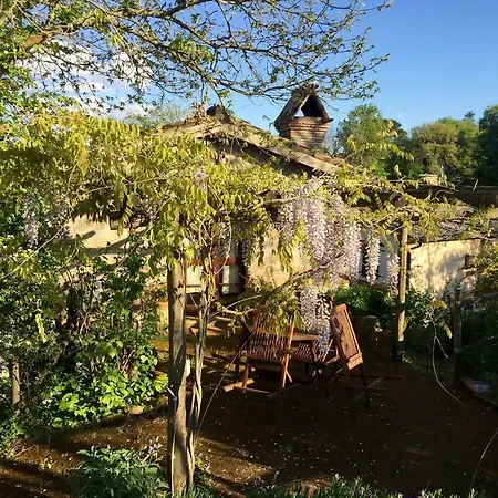 Bed & Breakfast Agriturismo La Cervaiola Piccola Dimora Di Campagna