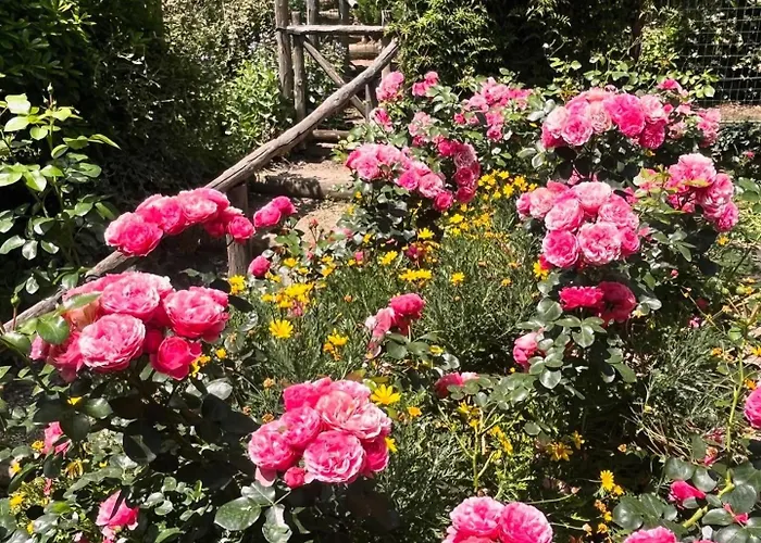 La Cervaiola Bed & Breakfast Porano